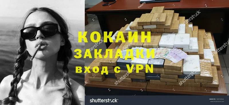 darknet состав  мега ссылка  Камышин  Кокаин FishScale 