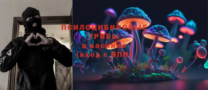 где купить   Камышин  KRAKEN вход  Галлюциногенные грибы ЛСД 